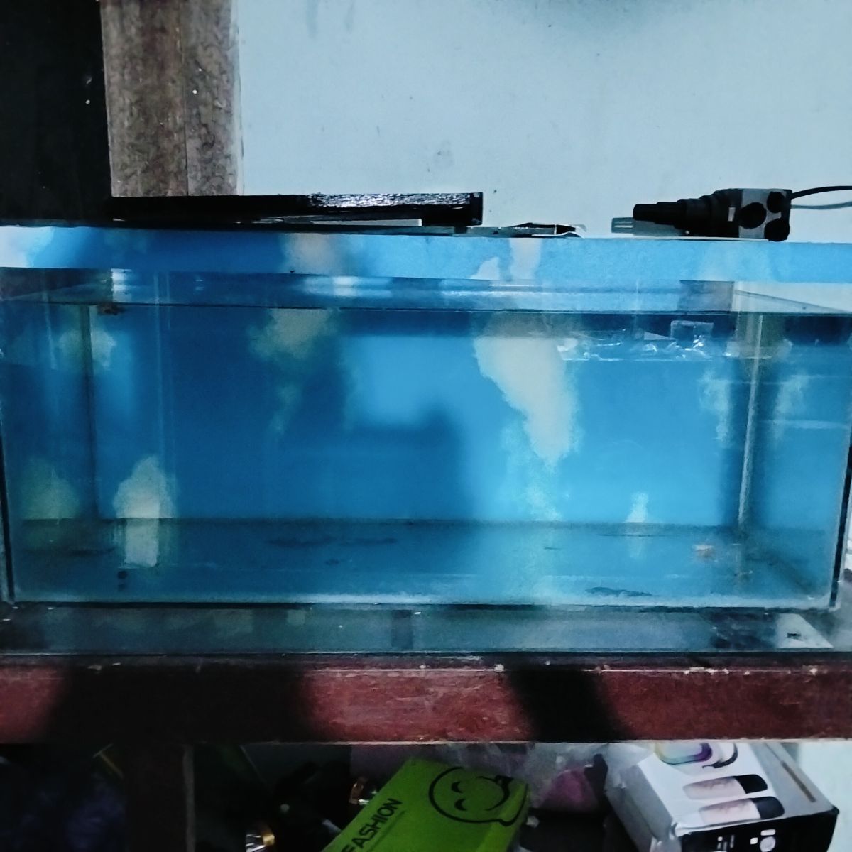 Akuarium