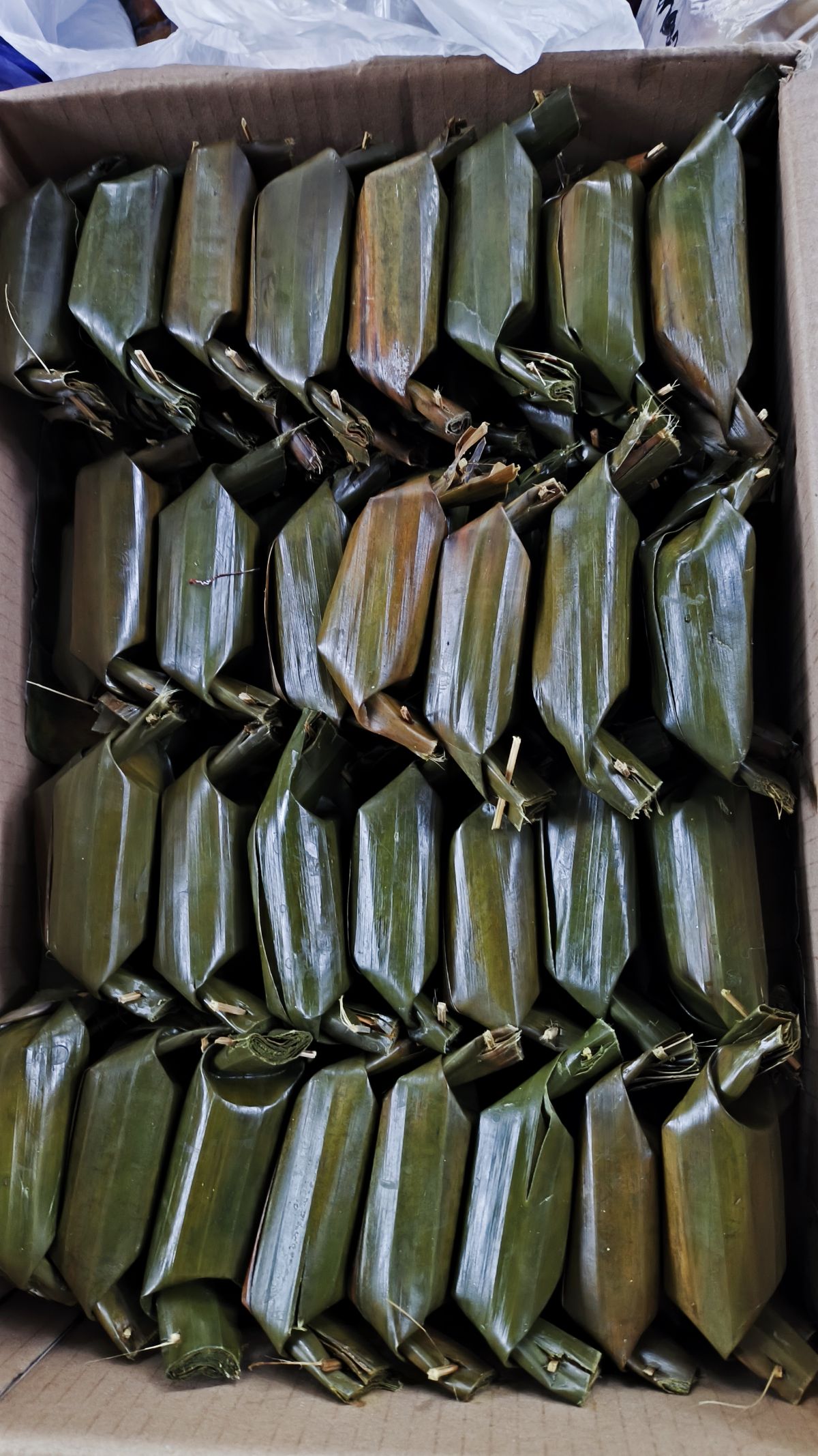 Lemper Isi Abon