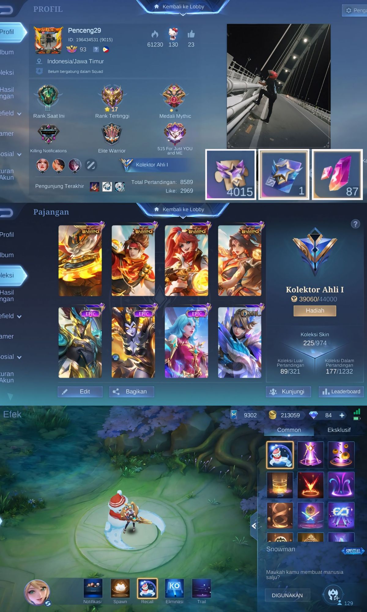 Akun Mobile Legends