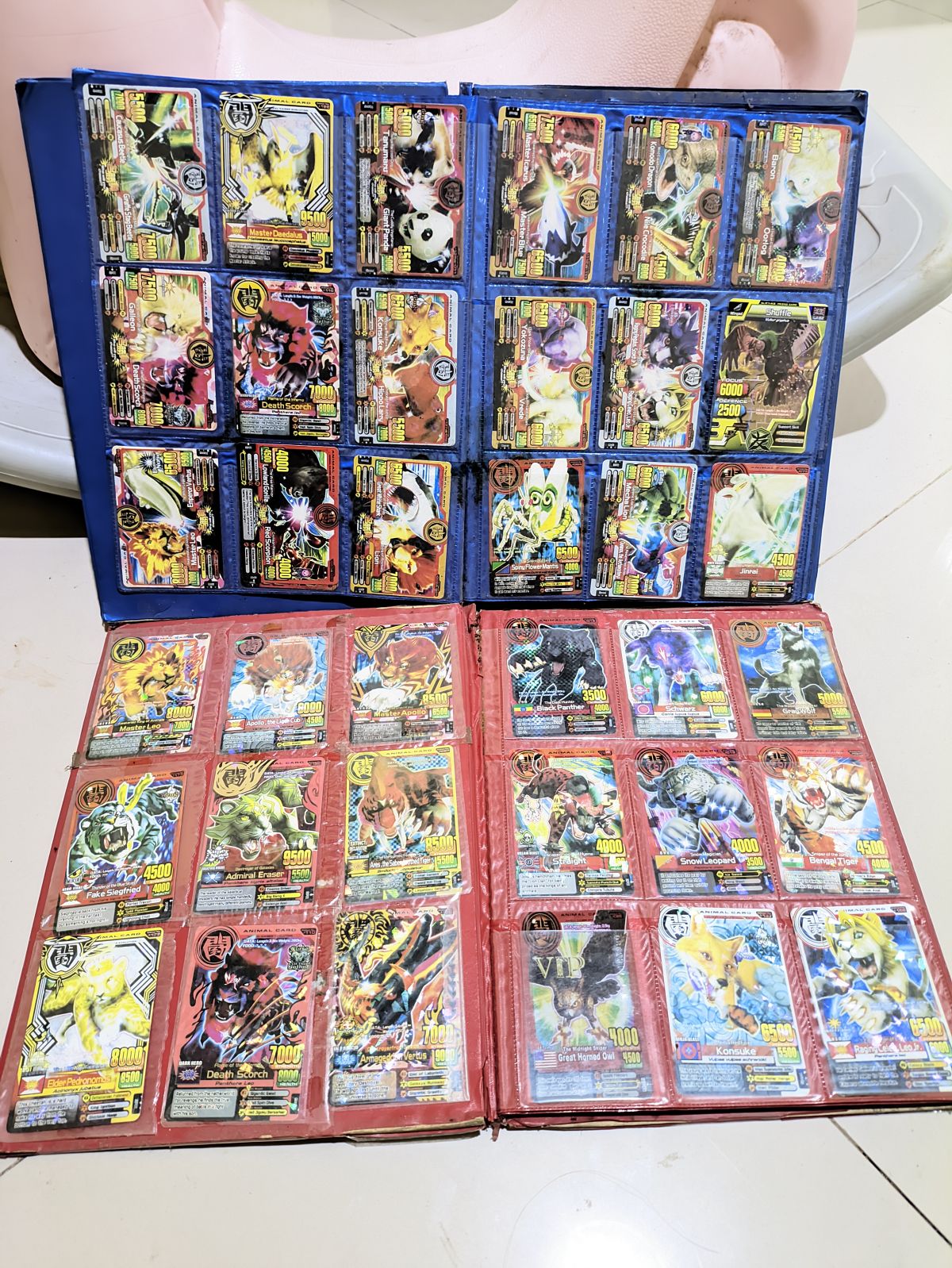Kartu Animal Kaiser Collection