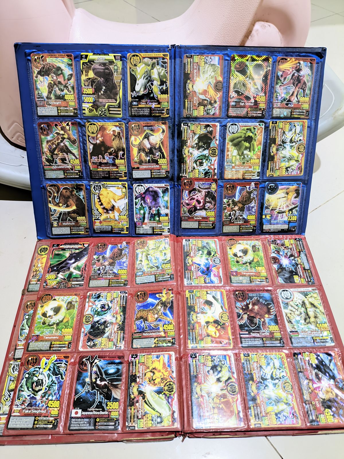 Kartu Animal Kaiser Collection