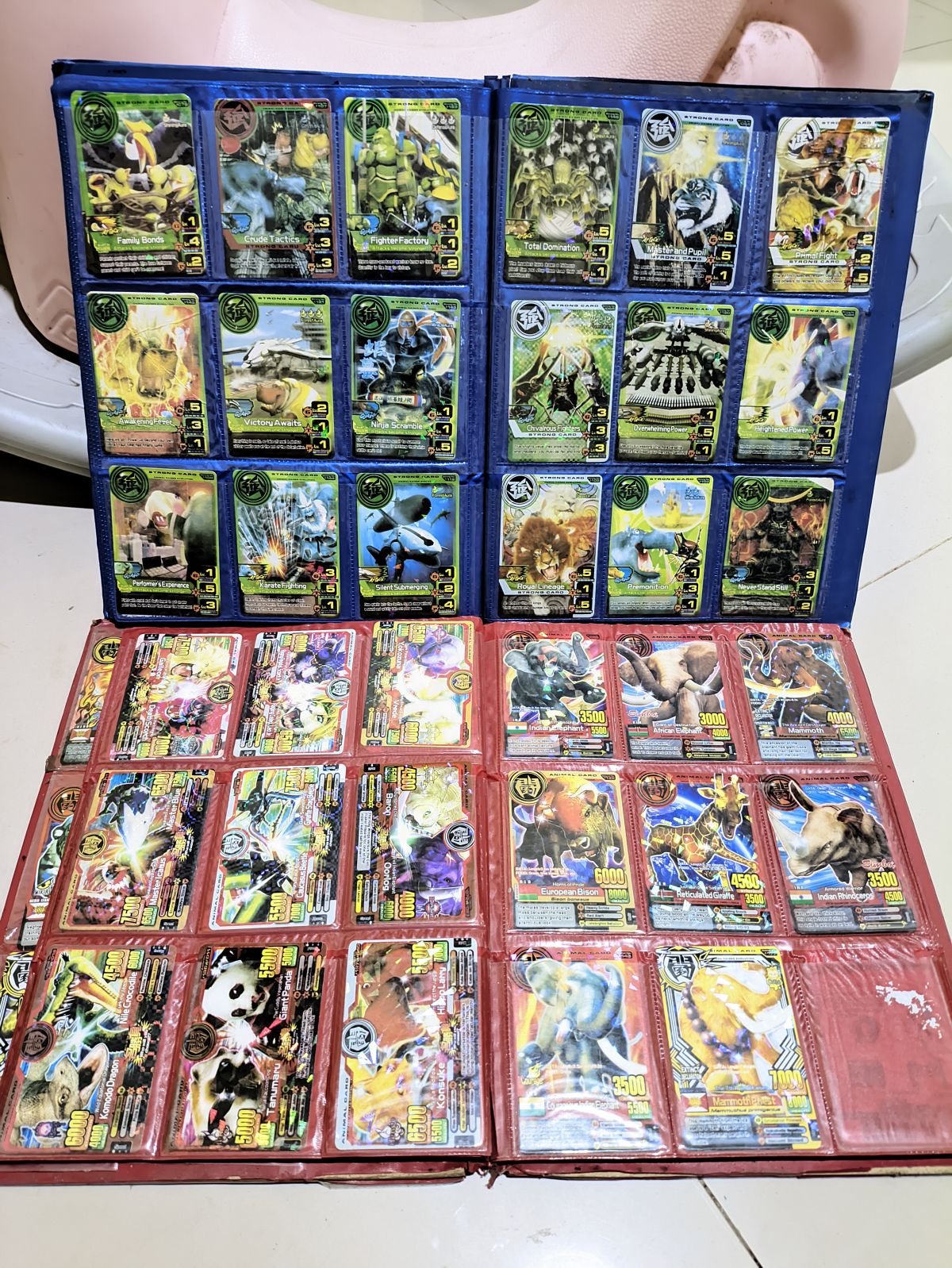 Kartu Animal Kaiser Collection