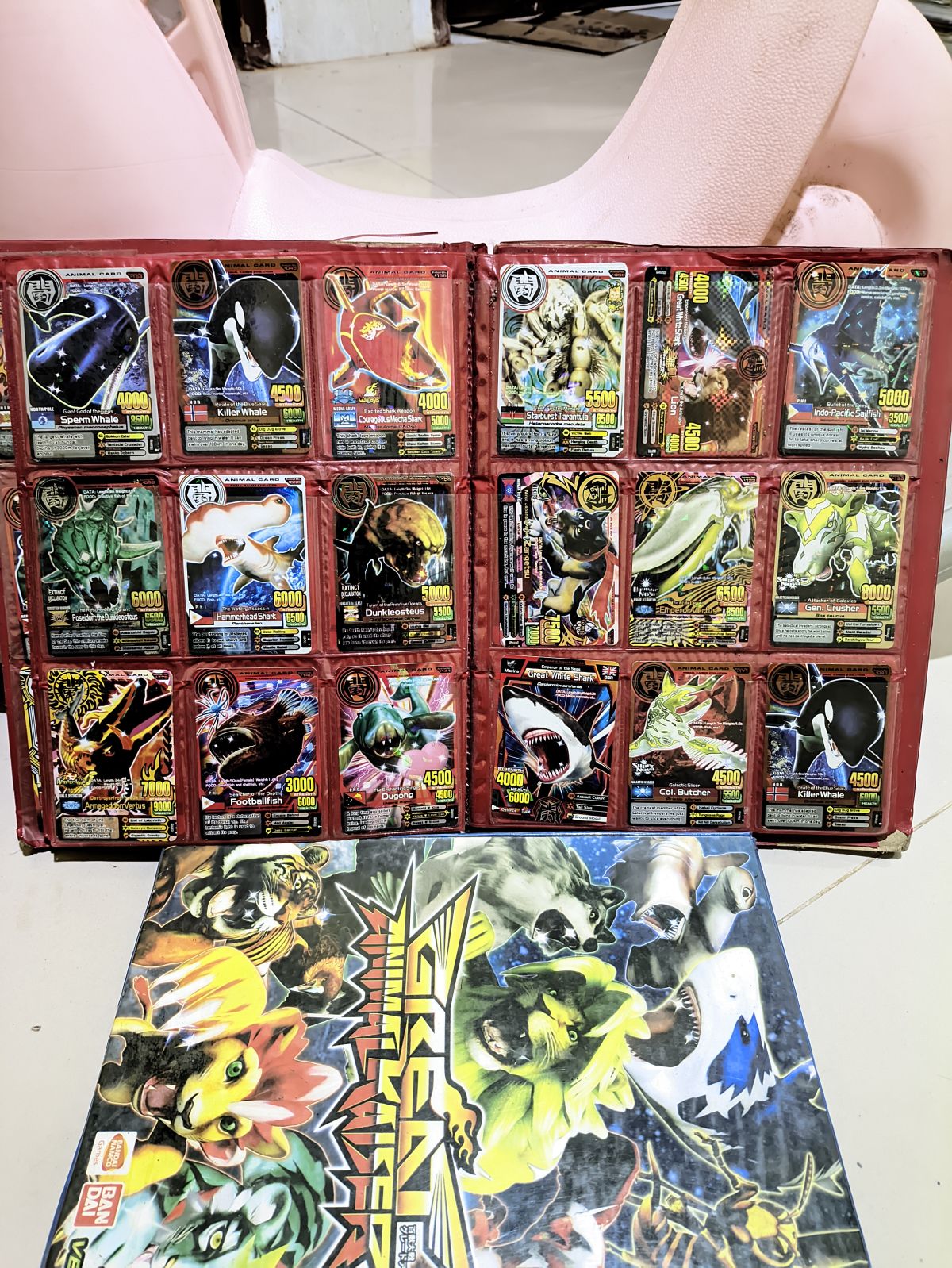 Kartu Animal Kaiser Collection